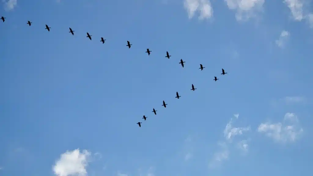 Cloud Computing Is the New Black –  Part 2 of 3: Migrating to the Cloud