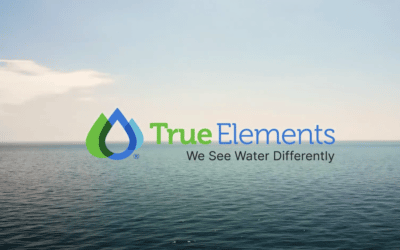 True Elements’ Water Intelligence Solutions Now Available on the Google Cloud Marketplace Help Organizations Succeed in a Changing Climate